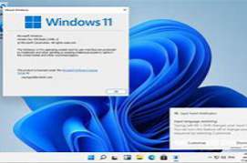 Windows 11 build 21996.1 for VMWare Workstation 16.x
